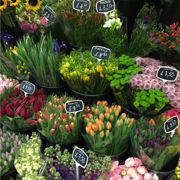 Meet your Posher, Heather - Picture 3 of 16